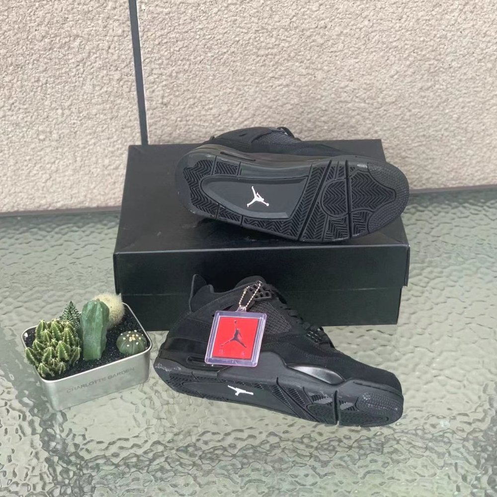 Air Jordan 4 Retro Cats Gem